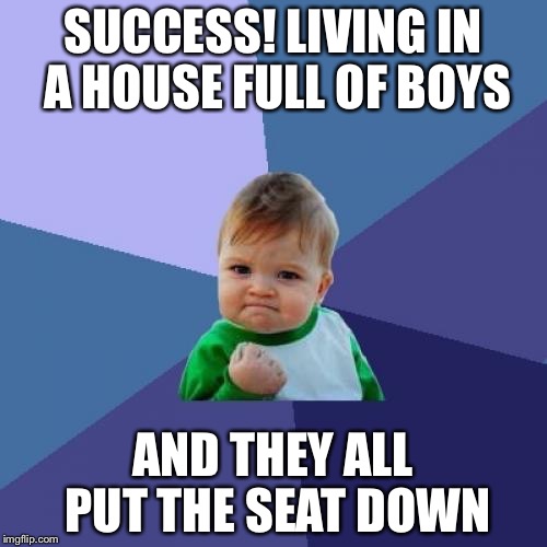 Success Kid | SUCCESS! LIVING IN A HOUSE FULL OF BOYS; AND THEY ALL PUT THE SEAT DOWN | image tagged in memes,success kid | made w/ Imgflip meme maker