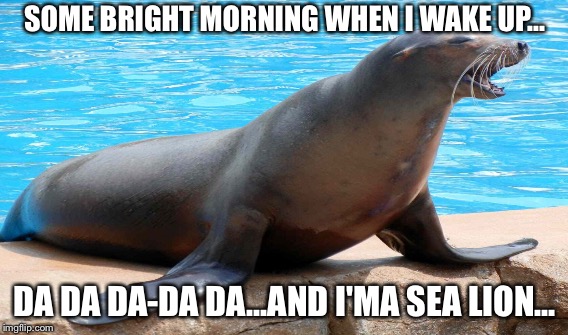 SOME BRIGHT MORNING WHEN I WAKE UP... DA DA DA-DA DA...AND I'MA SEA LION... | made w/ Imgflip meme maker