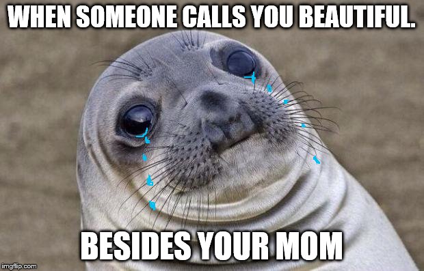 Awkward Moment Sealion Meme | WHEN SOMEONE CALLS YOU BEAUTIFUL. BESIDES YOUR MOM | image tagged in memes,awkward moment sealion | made w/ Imgflip meme maker