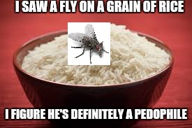 All this rice | I SAW A FLY ON A GRAIN OF RICE; I FIGURE HE'S DEFINITELY A PEDOPHILE | image tagged in all this rice | made w/ Imgflip meme maker