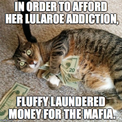 money cat | IN ORDER TO AFFORD HER LULAROE ADDICTION, FLUFFY LAUNDERED MONEY FOR THE MAFIA. | image tagged in money cat | made w/ Imgflip meme maker