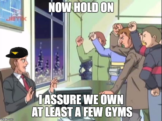 Now Hold On - Sonic X | NOW HOLD ON; I ASSURE WE OWN AT LEAST A FEW GYMS | image tagged in now hold on - sonic x | made w/ Imgflip meme maker