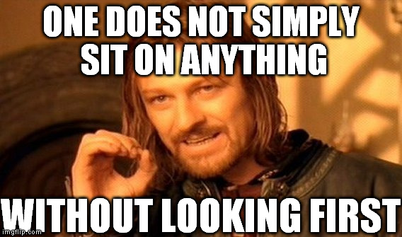 One Does Not Simply Meme | ONE DOES NOT SIMPLY SIT ON ANYTHING WITHOUT LOOKING FIRST | image tagged in memes,one does not simply | made w/ Imgflip meme maker