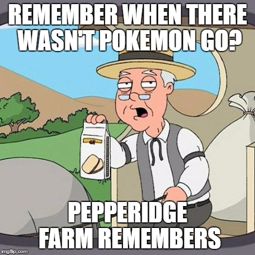 Pepperidge Farm Remembers Meme | REMEMBER WHEN THERE WASN'T POKEMON GO? PEPPERIDGE FARM REMEMBERS | image tagged in memes,pepperidge farm remembers | made w/ Imgflip meme maker