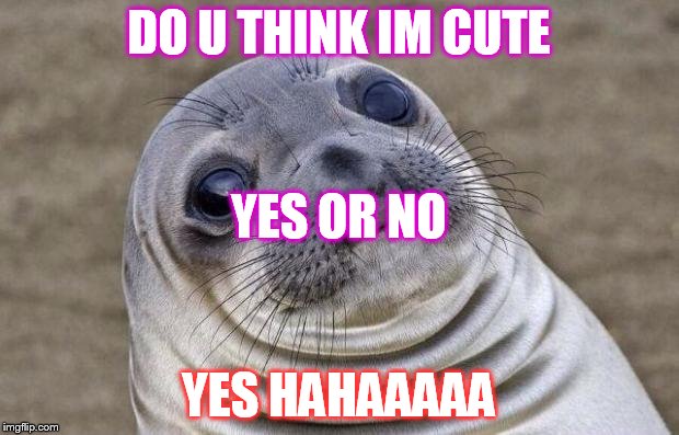 Awkward Moment Sealion | DO U THINK IM CUTE; YES OR NO; YES HAHAAAAA | image tagged in memes,awkward moment sealion | made w/ Imgflip meme maker