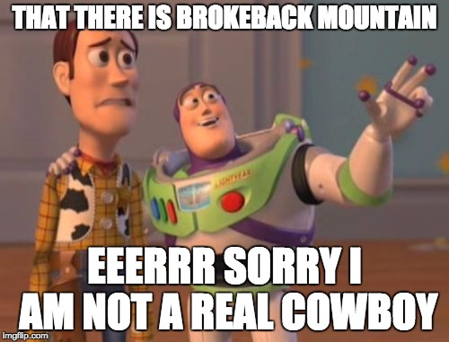 X, X Everywhere Meme | THAT THERE IS BROKEBACK MOUNTAIN; EEERRR SORRY I AM NOT A REAL COWBOY | image tagged in memes,x x everywhere | made w/ Imgflip meme maker