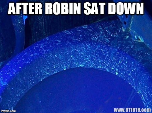 Toilet Under UV Light | AFTER ROBIN SAT DOWN | image tagged in toilet under uv light | made w/ Imgflip meme maker