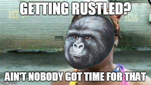 GETTING RUSTLED? AIN'T NOBODY GOT TIME FOR THAT | made w/ Imgflip meme maker