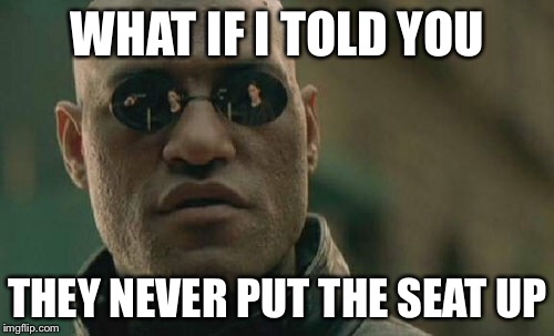 Matrix Morpheus Meme | WHAT IF I TOLD YOU THEY NEVER PUT THE SEAT UP | image tagged in memes,matrix morpheus | made w/ Imgflip meme maker