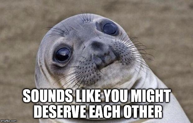Awkward Moment Sealion Meme | SOUNDS LIKE YOU MIGHT DESERVE EACH OTHER | image tagged in memes,awkward moment sealion | made w/ Imgflip meme maker