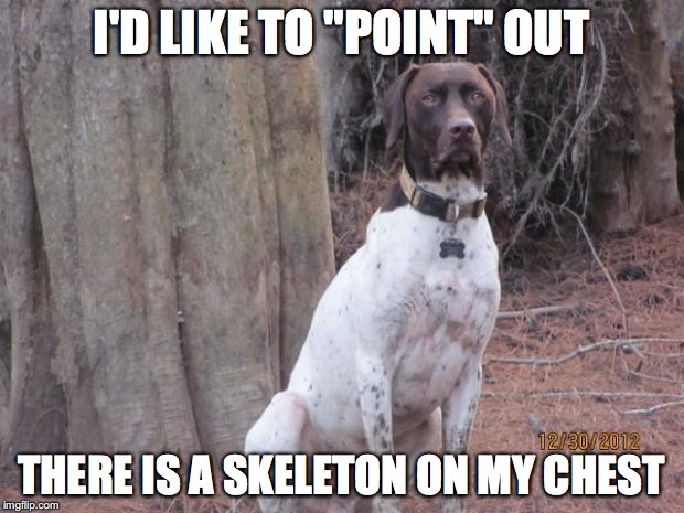 Skeleton on Dog's Chest | I'D LIKE TO "POINT" OUT; THERE IS A SKELETON ON MY CHEST | image tagged in to the point pointer,pointer | made w/ Imgflip meme maker