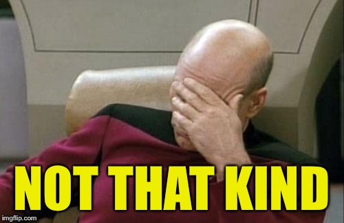 Captain Picard Facepalm Meme | NOT THAT KIND | image tagged in memes,captain picard facepalm | made w/ Imgflip meme maker