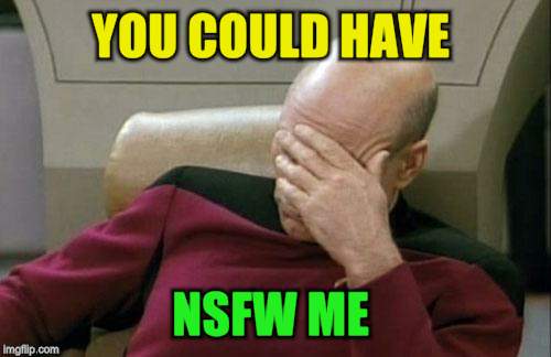 Captain Picard Facepalm Meme | YOU COULD HAVE NSFW ME | image tagged in memes,captain picard facepalm | made w/ Imgflip meme maker