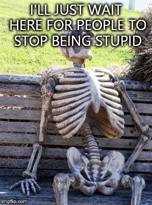 Waiting Skeleton | I'LL JUST WAIT HERE FOR PEOPLE TO STOP BEING STUPID | image tagged in memes,waiting skeleton | made w/ Imgflip meme maker