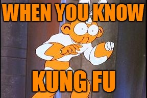 WHEN YOU KNOW KUNG FU | made w/ Imgflip meme maker