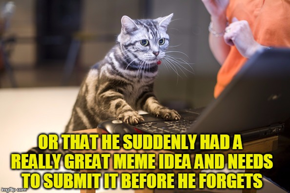 OR THAT HE SUDDENLY HAD A REALLY GREAT MEME IDEA AND NEEDS TO SUBMIT IT BEFORE HE FORGETS | made w/ Imgflip meme maker