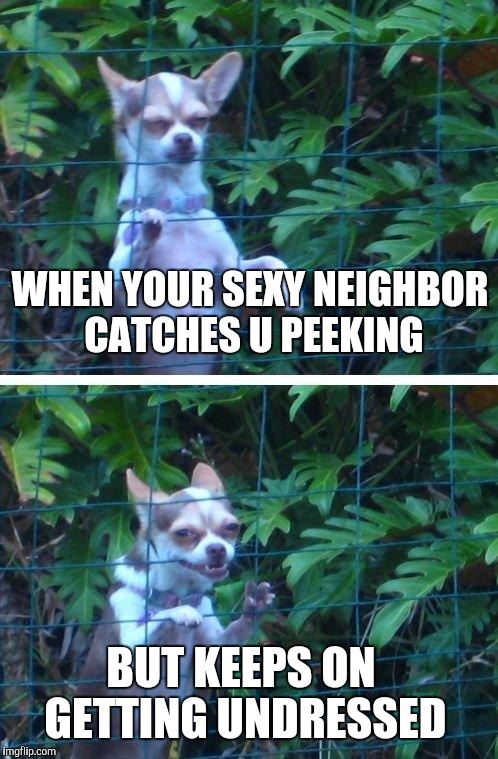 Doshegotabooty | WHEN YOUR SEXY NEIGHBOR CATCHES U PEEKING; BUT KEEPS ON GETTING UNDRESSED | image tagged in doshegotabooty | made w/ Imgflip meme maker