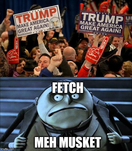 FETCH; MEH MUSKET | image tagged in funny memes,anti trump | made w/ Imgflip meme maker