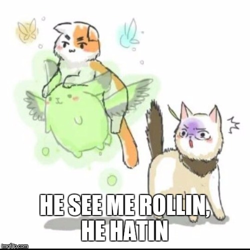 EnglandCat doesn't give a fuck about anything except riding on FMB XD lol | HE SEE ME ROLLIN, HE HATIN | image tagged in americat,hetalia,cats,hetalia murica,england,funny cats | made w/ Imgflip meme maker