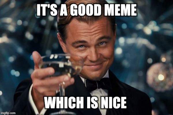 Leonardo Dicaprio Cheers Meme | IT'S A GOOD MEME WHICH IS NICE | image tagged in memes,leonardo dicaprio cheers | made w/ Imgflip meme maker