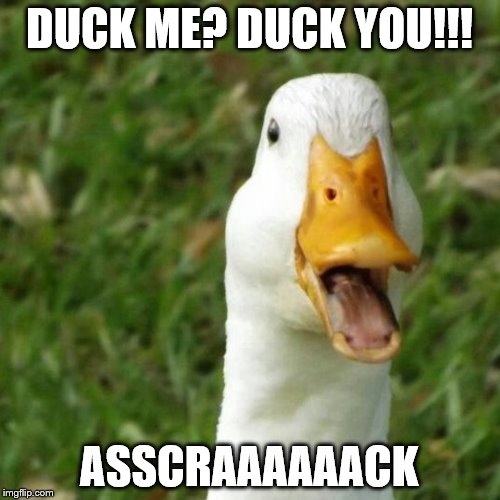 DUCK ME? DUCK YOU!!! ASSCRAAAAAACK | made w/ Imgflip meme maker