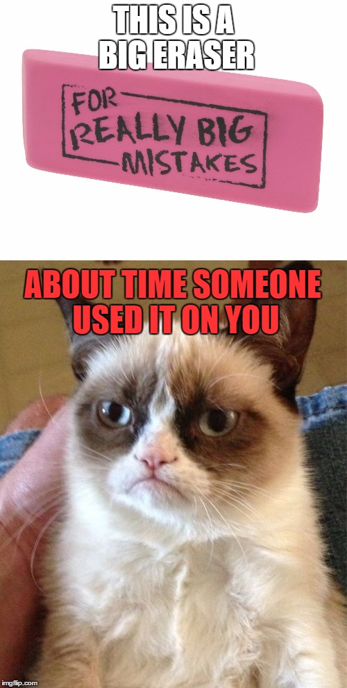 Wish we could apply this to people in real life. | THIS IS A BIG ERASER; ABOUT TIME SOMEONE USED IT ON YOU | image tagged in grumpy cat,mistakes,deal with it | made w/ Imgflip meme maker