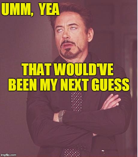 Face You Make Robert Downey Jr Meme | UMM,  YEA THAT WOULD'VE BEEN MY NEXT GUESS | image tagged in memes,face you make robert downey jr | made w/ Imgflip meme maker