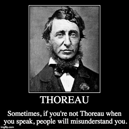 Just exactly how Thoreau were you on your assignment? | image tagged in funny,demotivationals | made w/ Imgflip demotivational maker