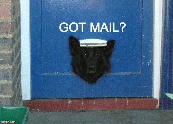 Package for Barkley? | GOT MAIL? | image tagged in janey mack meme,funny,dog in mail flap,got mail | made w/ Imgflip meme maker