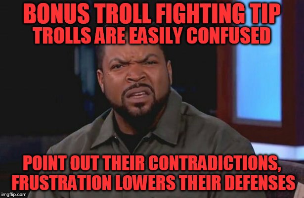 Bonus Troll Fighting Tip | BONUS TROLL FIGHTING TIP; TROLLS ARE EASILY CONFUSED; POINT OUT THEIR CONTRADICTIONS, FRUSTRATION LOWERS THEIR DEFENSES | image tagged in ice cube - what | made w/ Imgflip meme maker