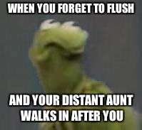 WHEN YOU FORGET TO FLUSH; AND YOUR DISTANT AUNT WALKS IN AFTER YOU | image tagged in kermit | made w/ Imgflip meme maker