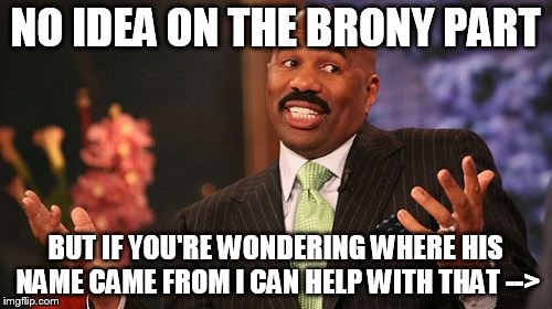 NO IDEA ON THE BRONY PART BUT IF YOU'RE WONDERING WHERE HIS NAME CAME FROM I CAN HELP WITH THAT --> | image tagged in memes,steve harvey | made w/ Imgflip meme maker