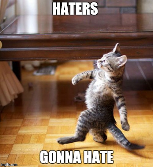 strutting kitten | HATERS; GONNA HATE | image tagged in strutting kitten | made w/ Imgflip meme maker