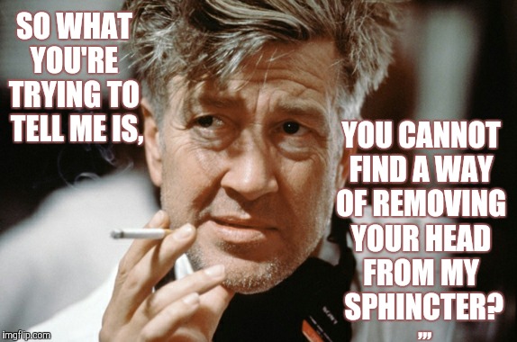 SO WHAT   YOU'RE    TRYING TO  TELL ME IS, YOU CANNOT FIND A WAY OF REMOVING YOUR HEAD  FROM MY     SPHINCTER? ,,, | image tagged in meme | made w/ Imgflip meme maker