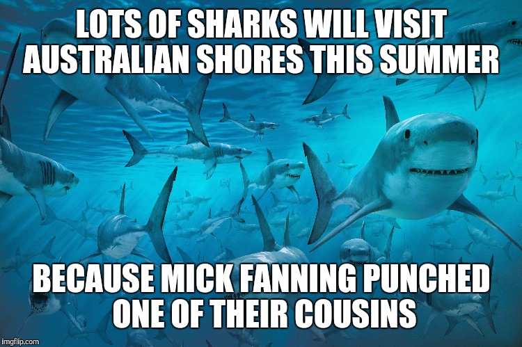 Mick fanning | LOTS OF SHARKS WILL VISIT AUSTRALIAN SHORES THIS SUMMER; BECAUSE MICK FANNING PUNCHED ONE OF THEIR COUSINS | image tagged in mick fanning,australia,shores,beach,sharks,great white shark | made w/ Imgflip meme maker
