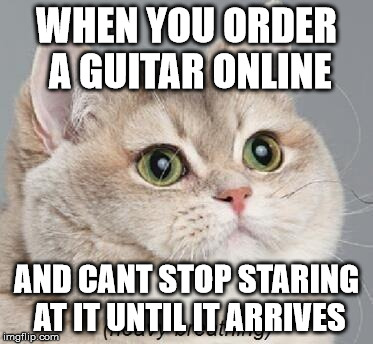 Heavy Breathing Cat | WHEN YOU ORDER A GUITAR ONLINE; AND CANT STOP STARING AT IT UNTIL IT ARRIVES | image tagged in memes,heavy breathing cat | made w/ Imgflip meme maker