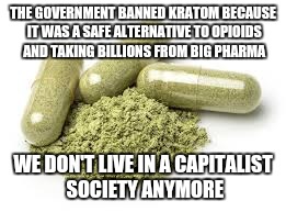 Stop saying capitalism is killing this country | THE GOVERNMENT BANNED KRATOM BECAUSE IT WAS A SAFE ALTERNATIVE TO OPIOIDS AND TAKING BILLIONS FROM BIG PHARMA; WE DON'T LIVE IN A CAPITALIST SOCIETY ANYMORE | image tagged in memes,government,capitalism | made w/ Imgflip meme maker
