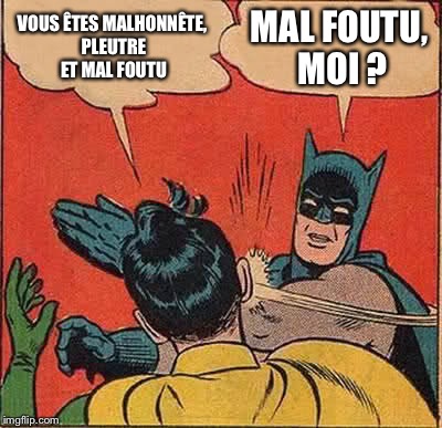 Batman Slapping Robin Meme | VOUS ÊTES MALHONNÊTE, PLEUTRE ET MAL FOUTU; MAL FOUTU, MOI ? | image tagged in memes,batman slapping robin | made w/ Imgflip meme maker