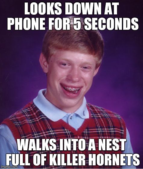 Bad Luck Brian | LOOKS DOWN AT PHONE FOR 5 SECONDS; WALKS INTO A NEST FULL OF KILLER HORNETS | image tagged in memes,bad luck brian,phone,easily distracted,hornet | made w/ Imgflip meme maker