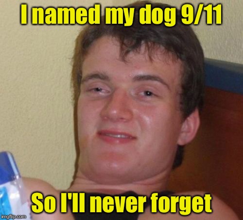 10 Guy Meme | I named my dog 9/11; So I'll never forget | image tagged in memes,10 guy | made w/ Imgflip meme maker
