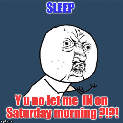 Y U No | SLEEP; Y u no let me  IN on Saturday morning ?!?! | image tagged in memes,y u no | made w/ Imgflip meme maker