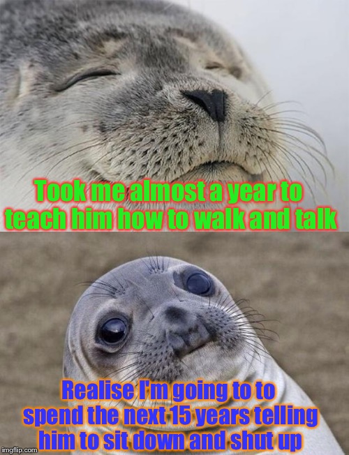 Having Children Be Like | Took me almost a year to teach him how to walk and talk; Realise I'm going to to spend the next 15 years telling him to sit down and shut up | image tagged in memes,awkward moment sealion,satisfied seal,funny,children | made w/ Imgflip meme maker