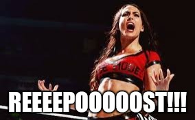 REEEEPOOOOOST!!! | made w/ Imgflip meme maker