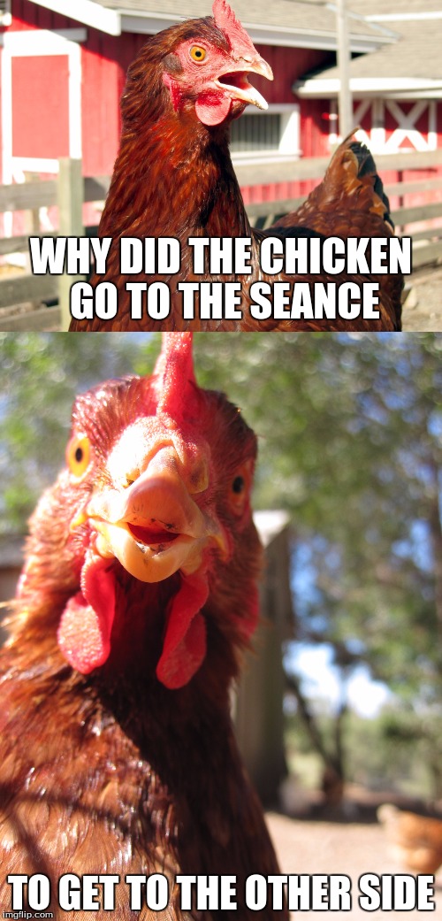 Just a Chicken Joke | WHY DID THE CHICKEN GO TO THE SEANCE; TO GET TO THE OTHER SIDE | image tagged in memes,bad joke chicken,custom template | made w/ Imgflip meme maker