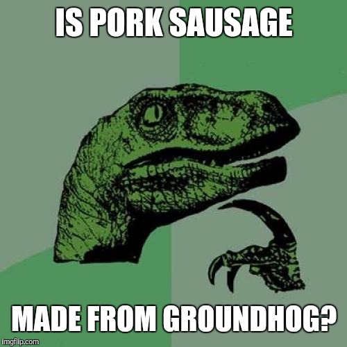 Philosoraptor | IS PORK SAUSAGE; MADE FROM GROUNDHOG? | image tagged in memes,philosoraptor | made w/ Imgflip meme maker