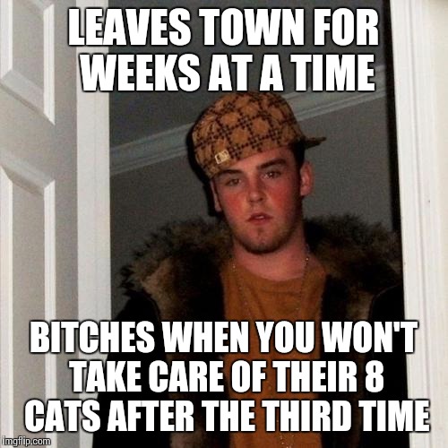 Scumbag Steve Meme | LEAVES TOWN FOR WEEKS AT A TIME; BITCHES WHEN YOU WON'T TAKE CARE OF THEIR 8 CATS AFTER THE THIRD TIME | image tagged in memes,scumbag steve | made w/ Imgflip meme maker