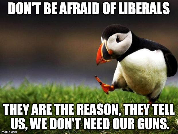 Unpopular Opinion Puffin Meme | DON'T BE AFRAID OF LIBERALS; THEY ARE THE REASON, THEY TELL US, WE DON'T NEED OUR GUNS. | image tagged in memes,unpopular opinion puffin | made w/ Imgflip meme maker