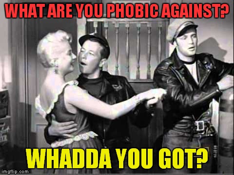 The Deplorable One | WHAT ARE YOU PHOBIC AGAINST? WHADDA YOU GOT? | image tagged in the wild one,deplorable,hillary sucks | made w/ Imgflip meme maker