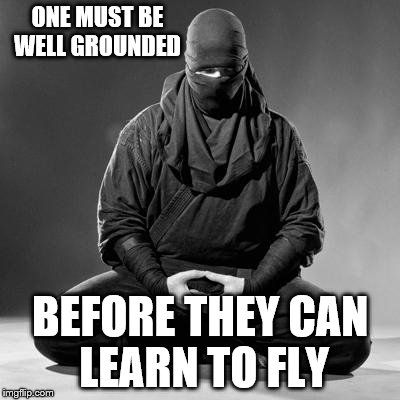 ONE MUST BE WELL GROUNDED BEFORE THEY CAN LEARN TO FLY | made w/ Imgflip meme maker