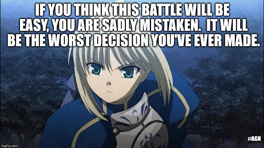 Do you think you can win? | IF YOU THINK THIS BATTLE WILL BE EASY, YOU ARE SADLY MISTAKEN.  IT WILL BE THE WORST DECISION YOU'VE EVER MADE. #AGN | image tagged in saber,battle,fate/stay night,fight,epic battle,anime | made w/ Imgflip meme maker